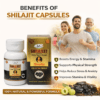 shilajit capusles