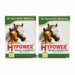 herbal wellness capsules ayurvedic supplement