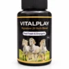 VitalPlay Ayurvedic Energy Powder