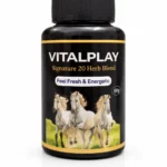 VitalPlay Ayurvedic Energy Powder