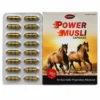 Power Musli Capsules Ayurvedic Herbal Wellness Supplement Front View