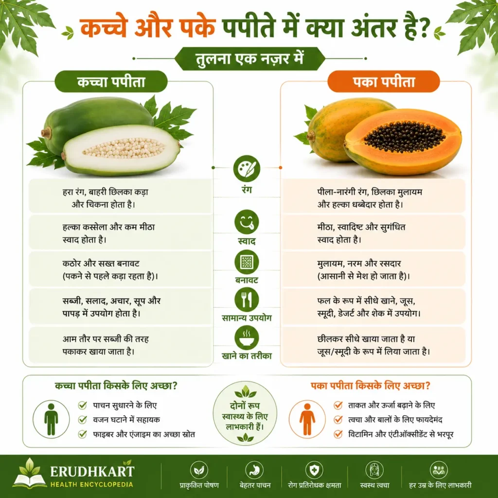 कच्चा और पका पपीता (Raw vs Ripe Papaya) – रंग, स्वाद, बनावट और सामान्य उपयोग की तुलना दर्शाने वाला इन्फोग्राफिक