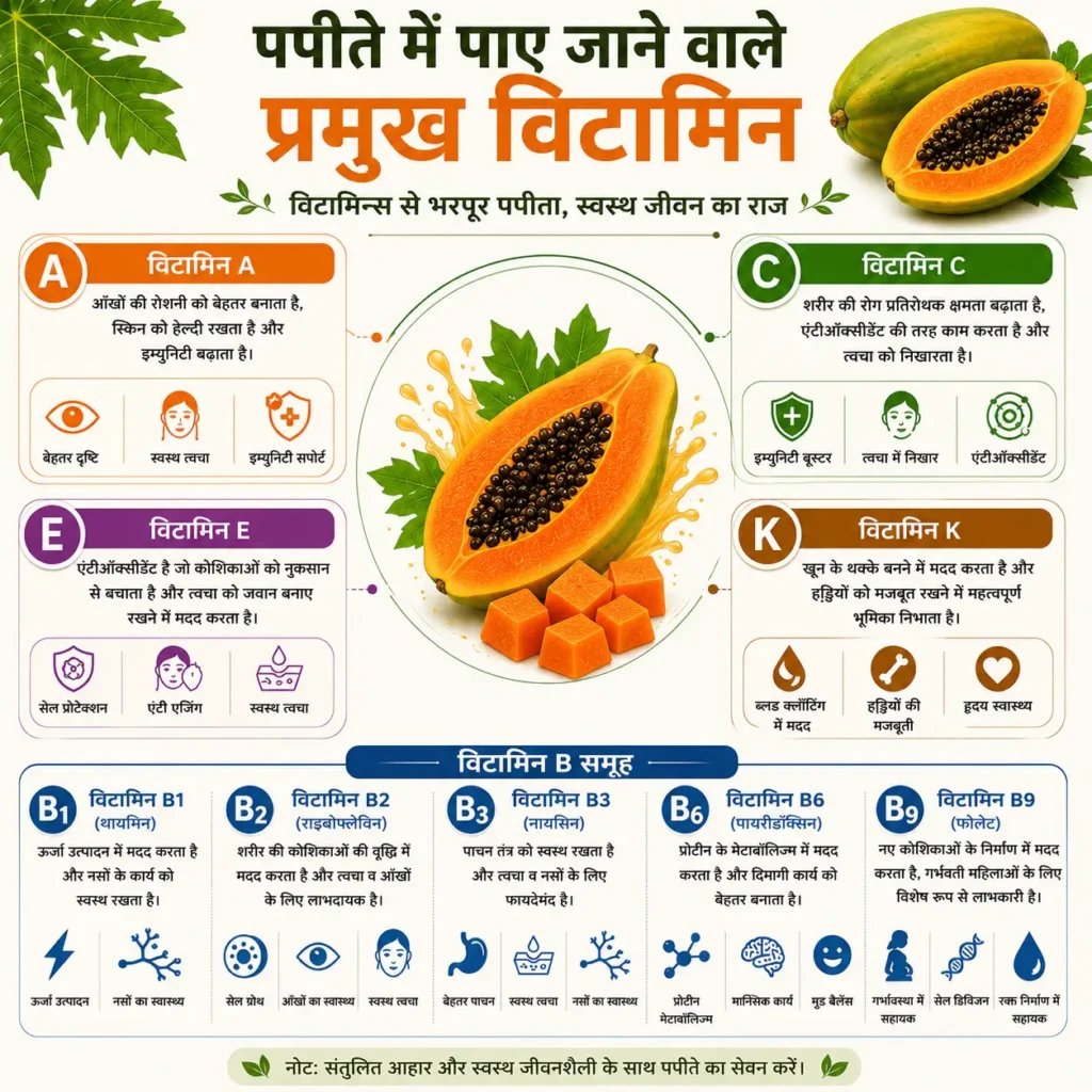 पपीते में पाए जाने वाले प्रमुख मिनरल – पोटैशियम, मैग्नीशियम, कैल्शियम, फॉस्फोरस, आयरन, जिंक और अन्य खनिज तत्वों की सामान्य पोषण संबंधी जानकारी का इन्फोग्राफिक
