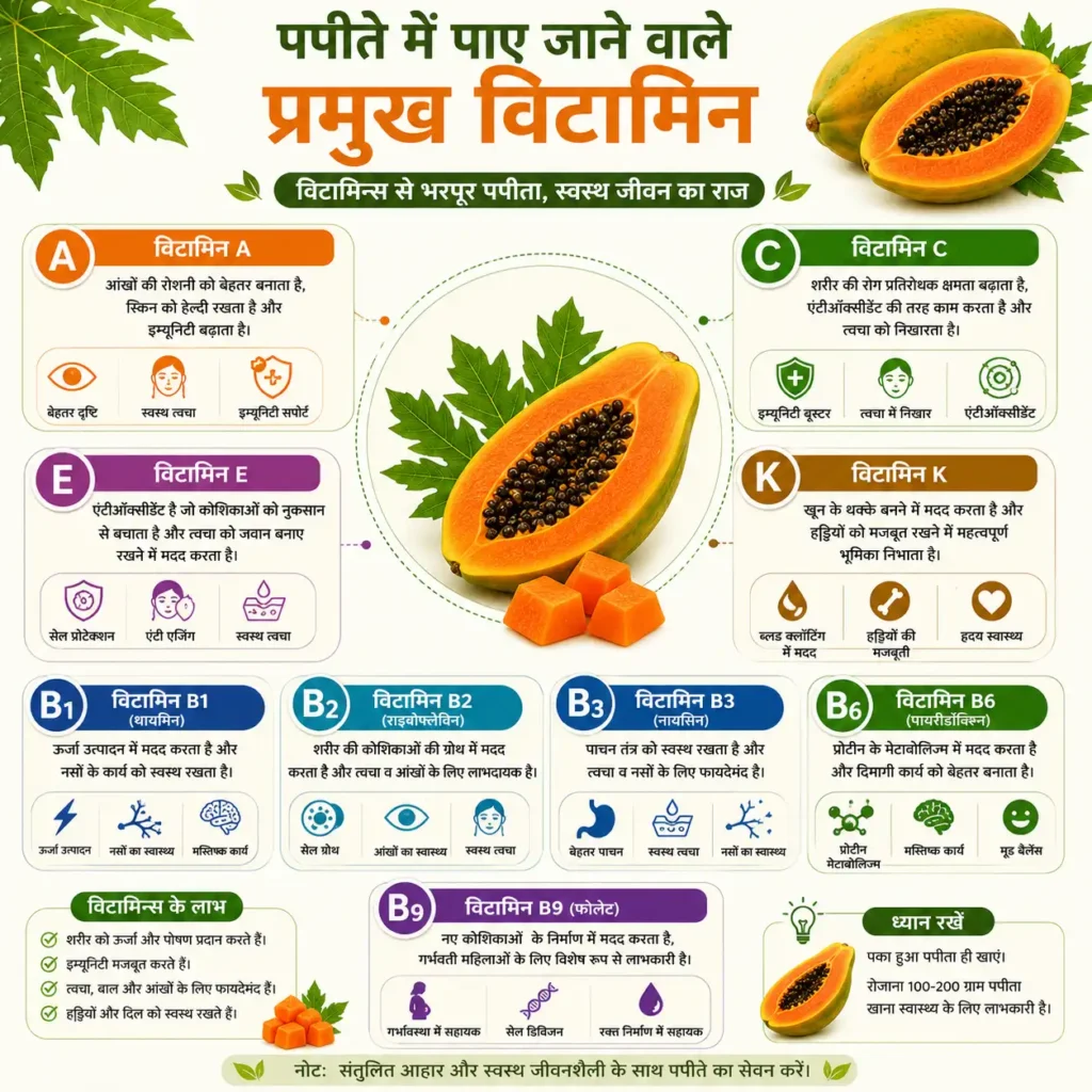 पपीते में पाए जाने वाले प्रमुख विटामिन – विटामिन A, C, E, K और B समूह (B1, B2, B3, B6, B9) की सामान्य पोषण संबंधी जानकारी का इन्फोग्राफिक